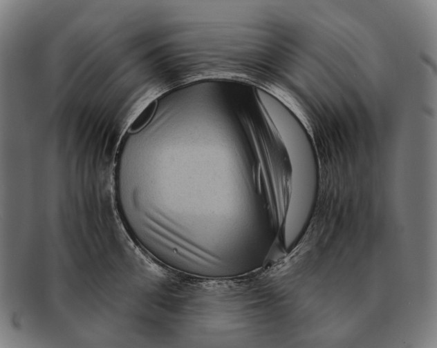 X0000091480906200709131809