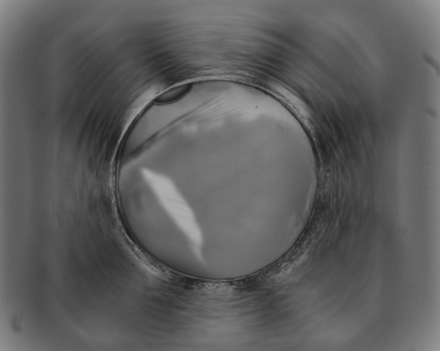 X0000091480907200709131809