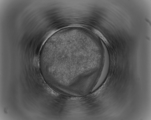 X0000091480908200709131809