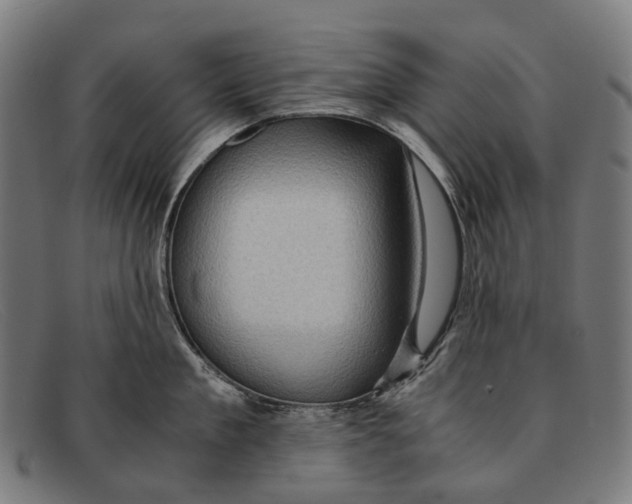 X0000091480909200709131809