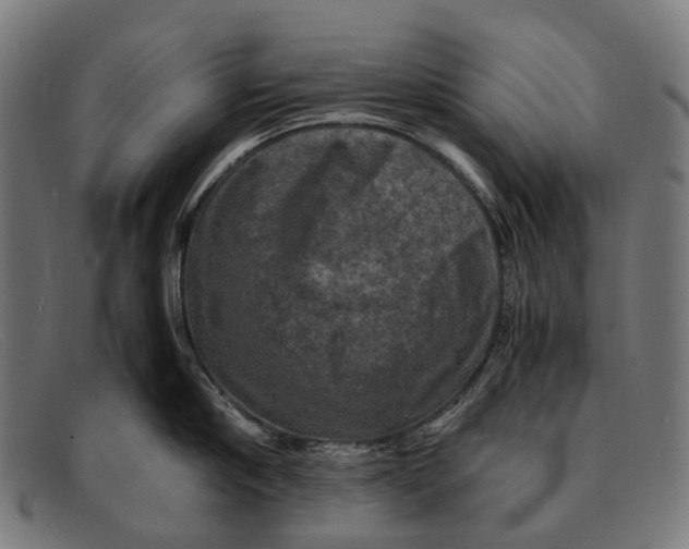 X0000091480910200709131809