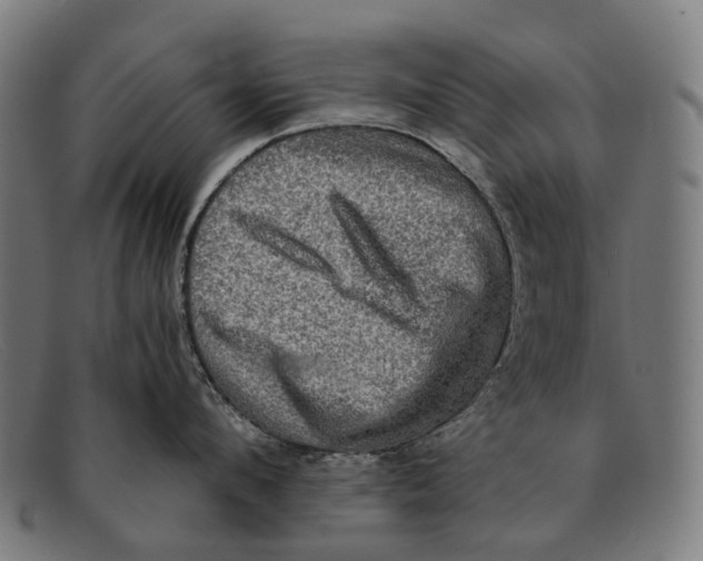 X0000091480912200709131809