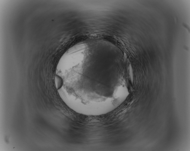 X0000091480913200709131809