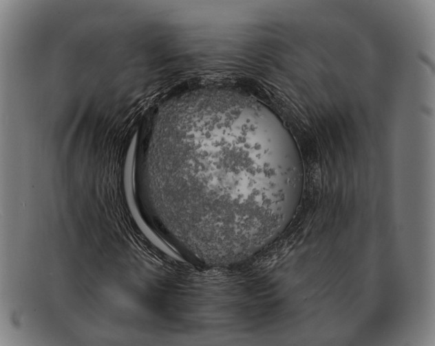 X0000091480914200709131809