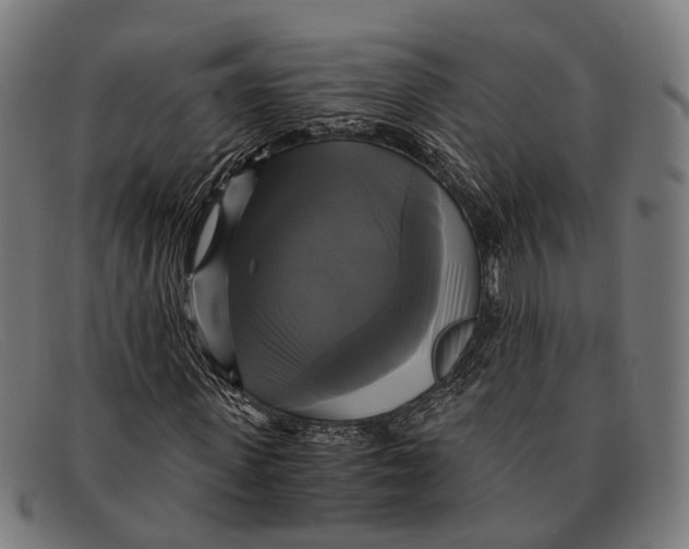 X0000091480915200709131809