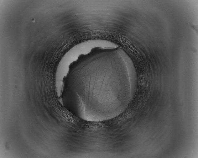 X0000091480916200709131809