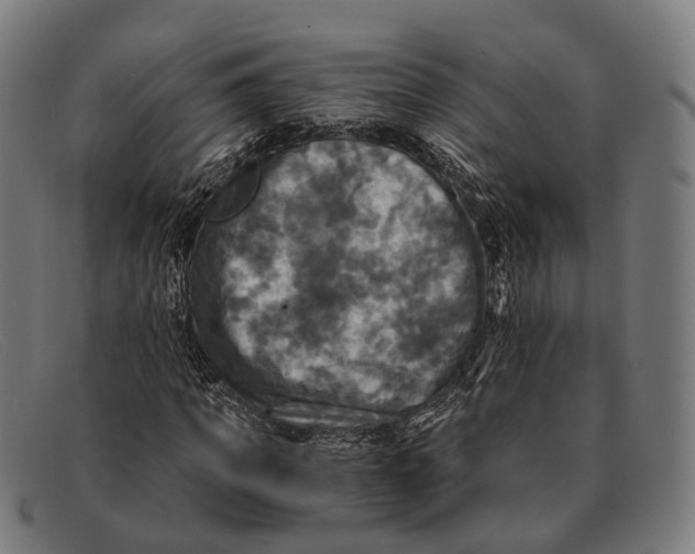 X0000091480917200709131809