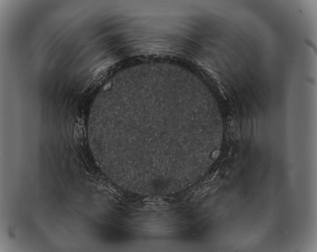 X0000091480918200709131809