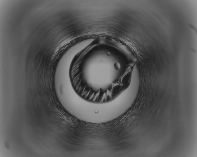 X0000091480920200709131809