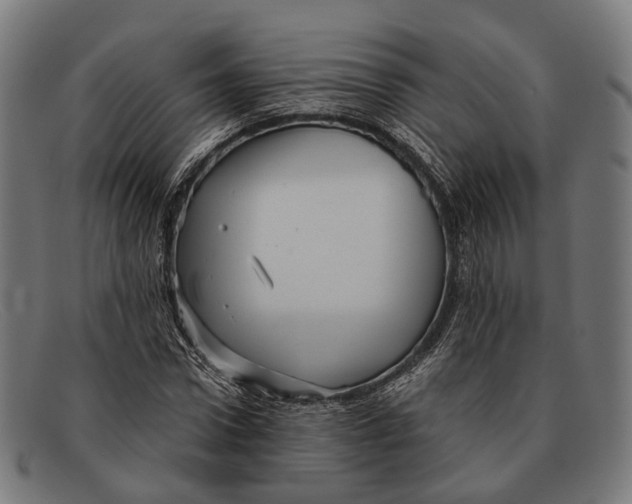 X0000091480922200709131809