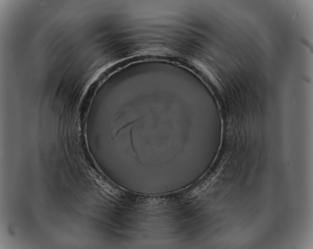 X0000091480923200709131809