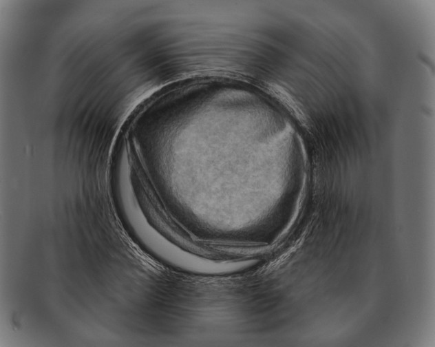 X0000091480924200709131809