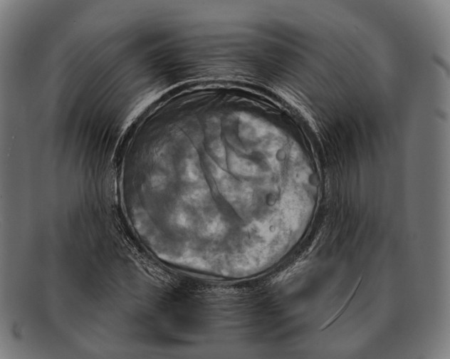 X0000091480925200709131809