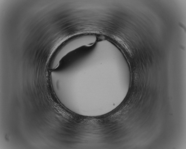 X0000091480926200709131809