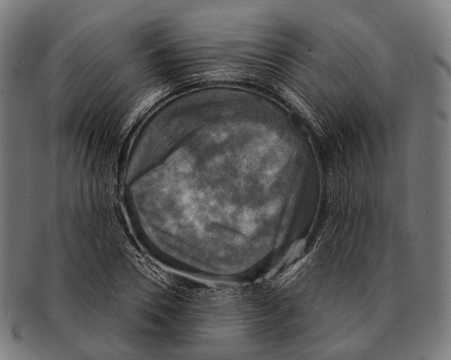 X0000091480930200709131809