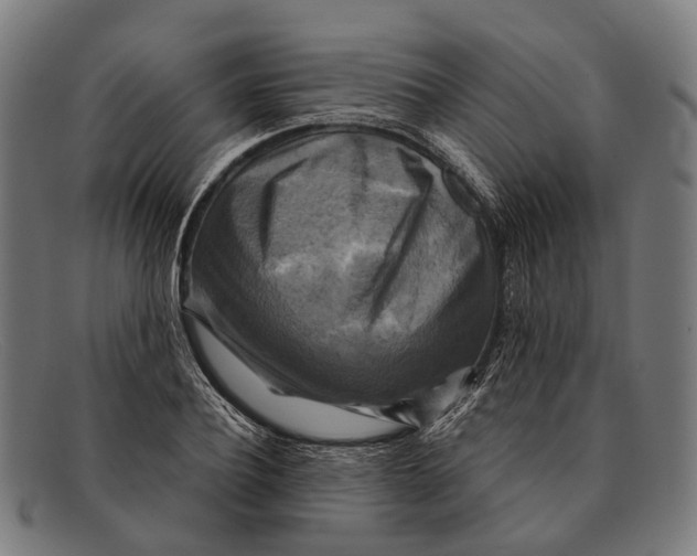 X0000091480932200709131809