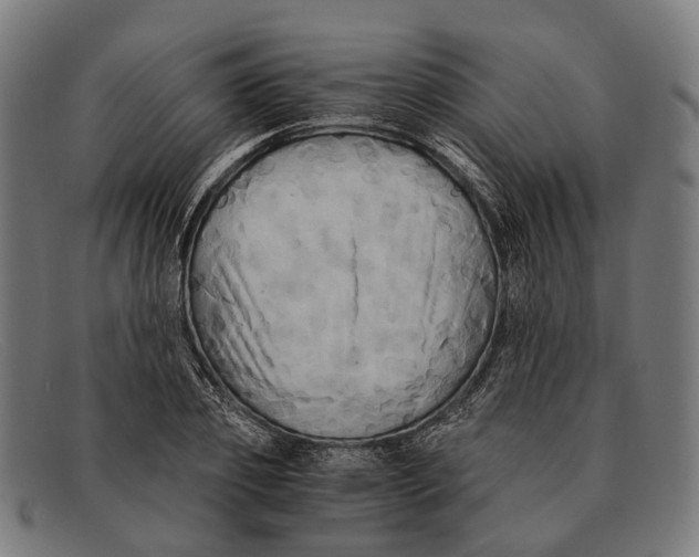 X0000091480933200709131809