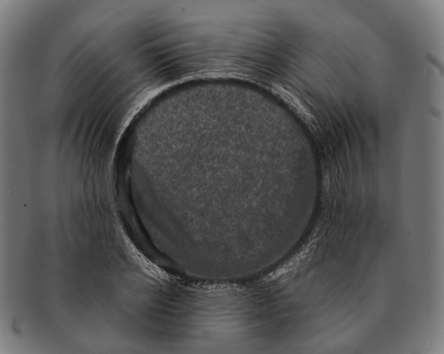 X0000091480934200709131809