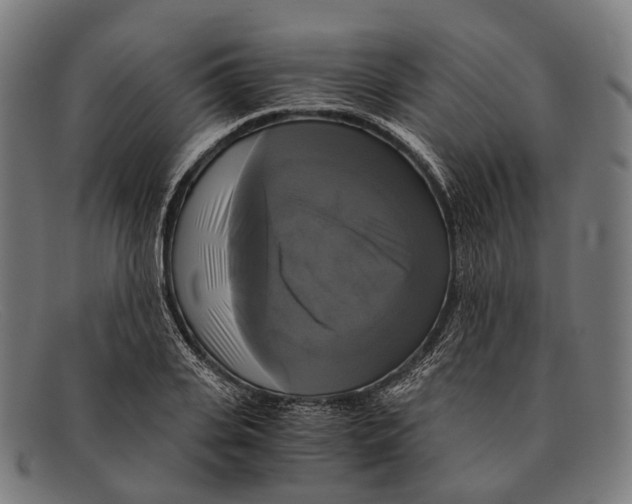 X0000091480935200709131809