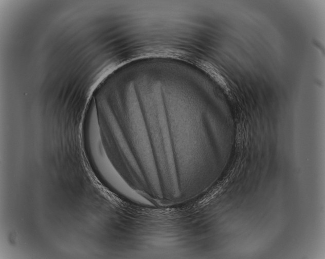 X0000091480936200709131809