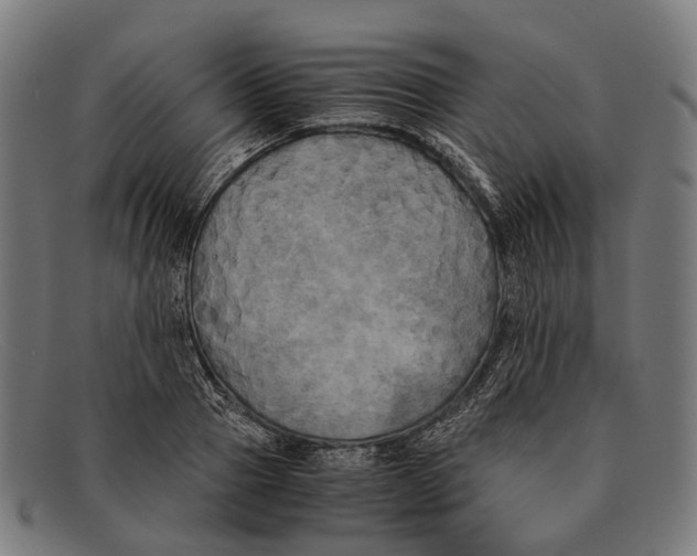 X0000091480937200709131809