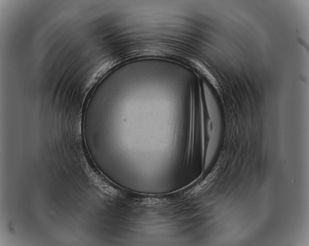 X0000091480938200709131809