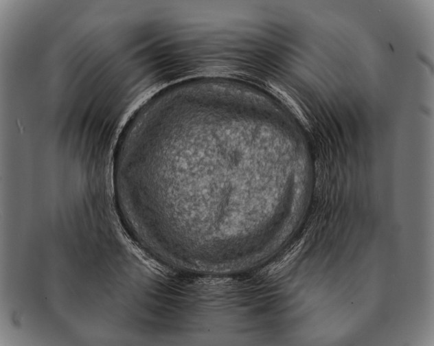 X0000091480939200709131809