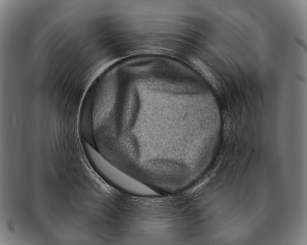 X0000091480940200709131809