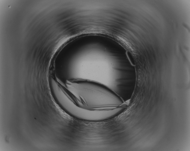 X0000091480942200709131809