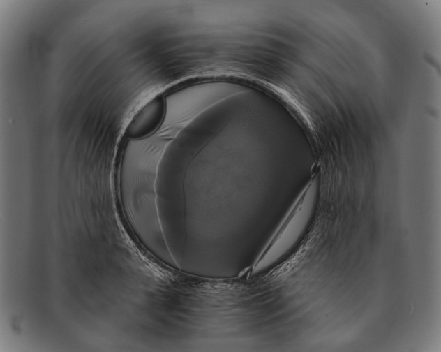 X0000091480943200709131809