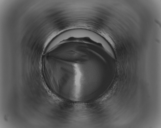 X0000091480944200709131809