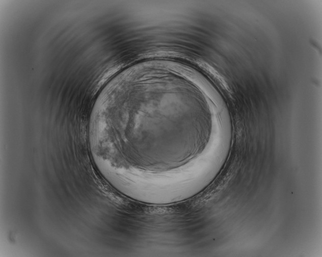 X0000091480945200709131809