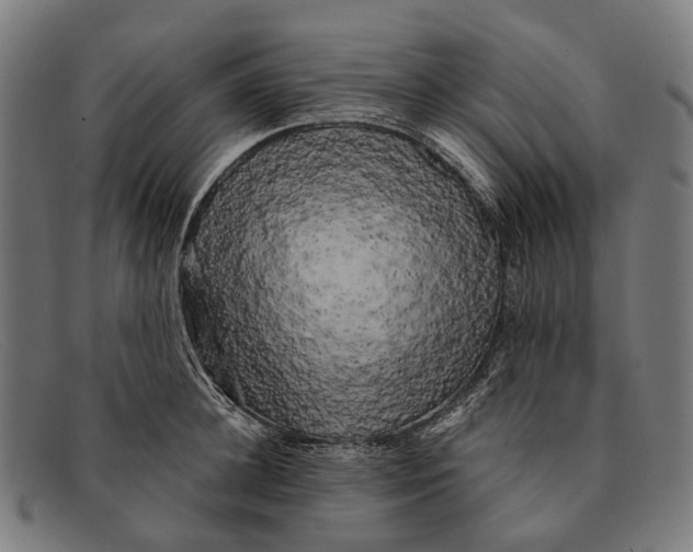 X0000091480948200709131809