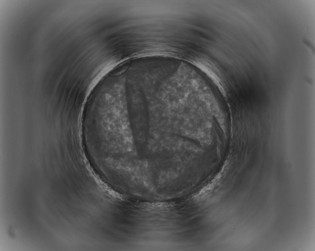 X0000091480949200709131809