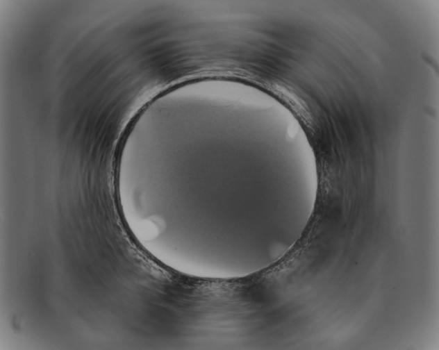 X0000091480950200709131809