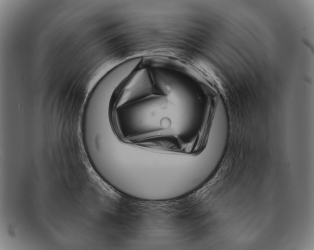 X0000091480952200709131809