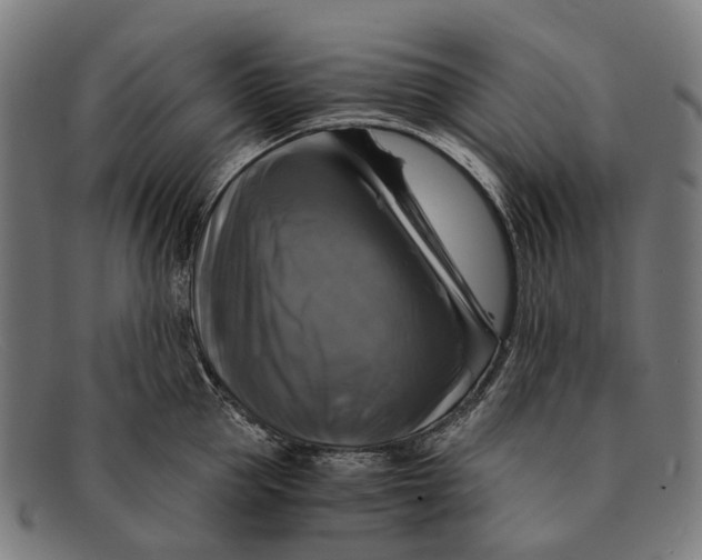 X0000091480953200709131809