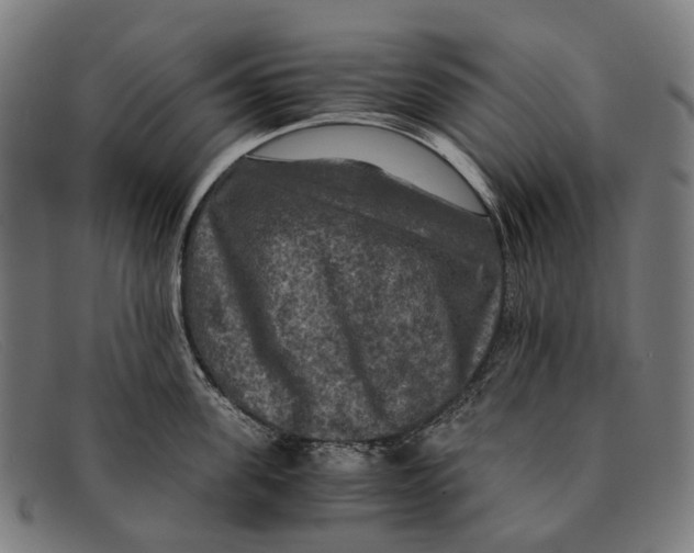 X0000091480955200709131809