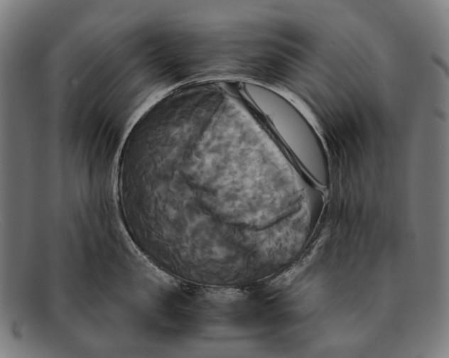 X0000091480957200709131809