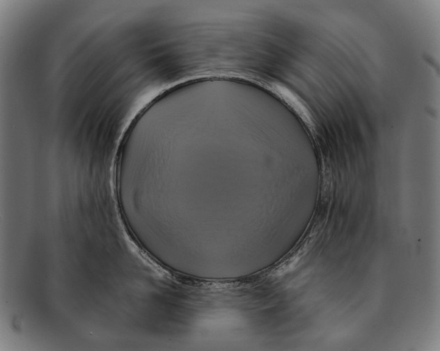 X0000091480958200709131809