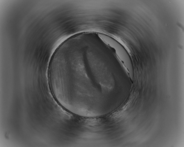 X0000091480959200709131809