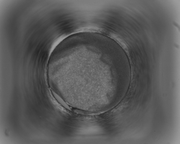 X0000091480960200709131809