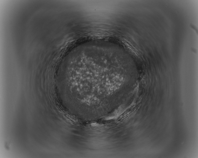 X0000091480961200709131809