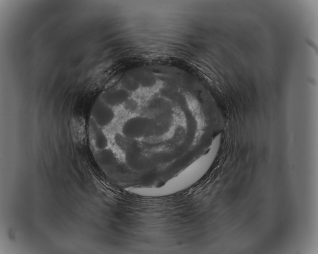 X0000091480963200709131809