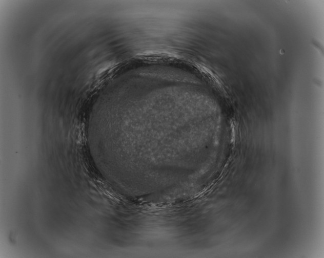 X0000091480965200709131809