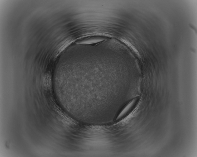 X0000091480969200709131809