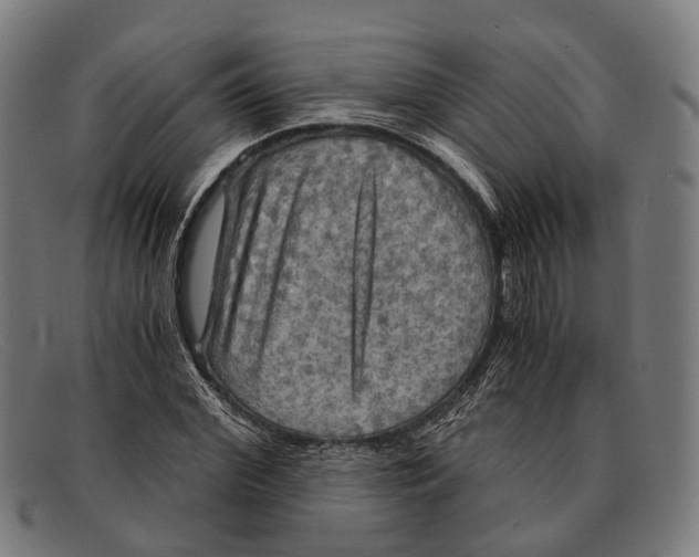 X0000091480972200709131808