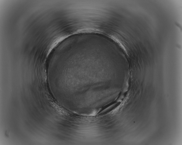 X0000091480973200709131808