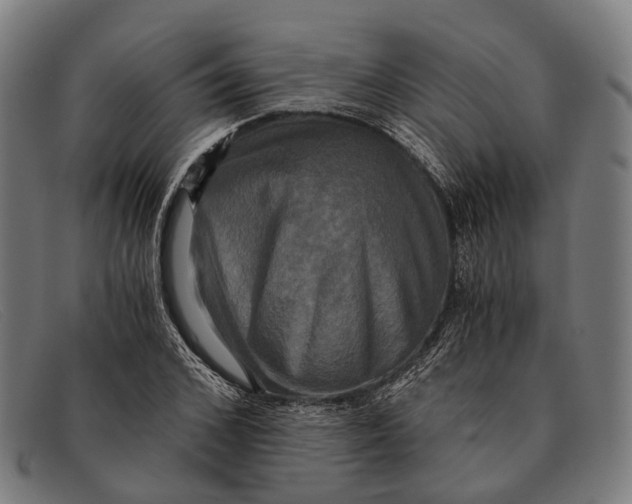 X0000091480976200709131808