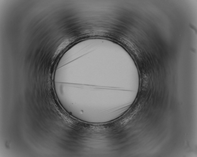 X0000091480978200709131808